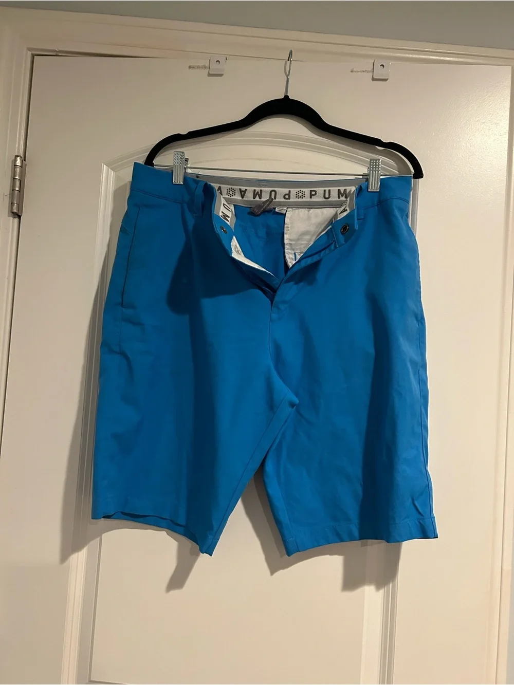 Puma Men's Bright Blue Athletic Shorts